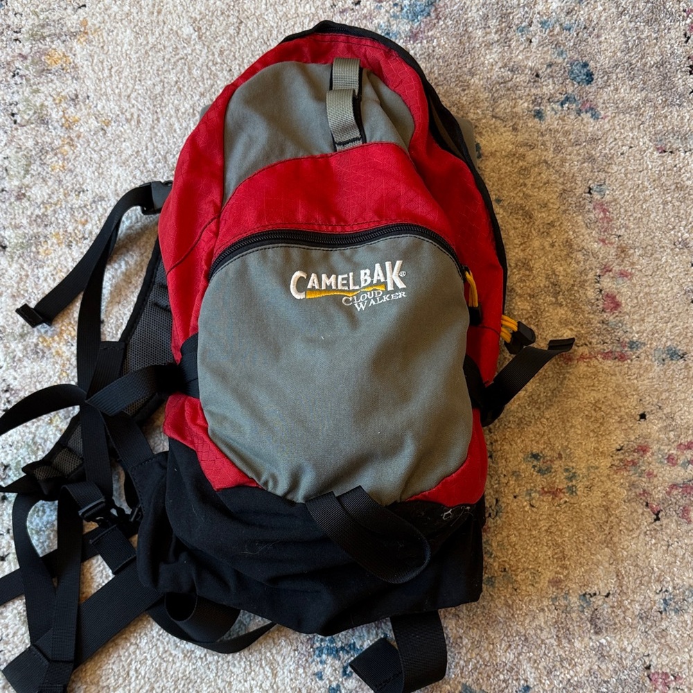 CamelBak Red and Gray Backpack for Men